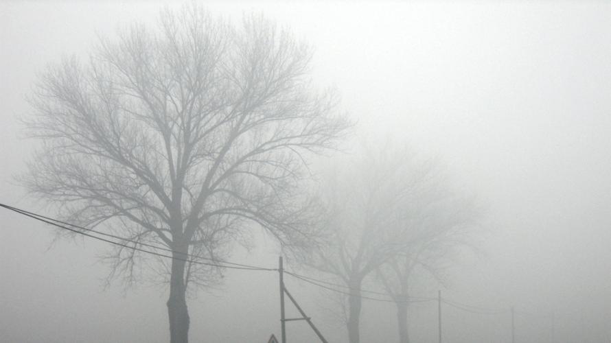 SEA and Culture image 10