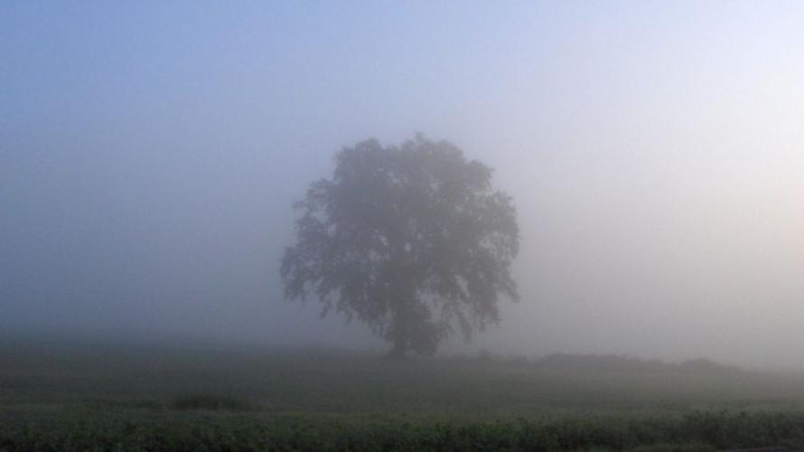 SEA and Culture image 9